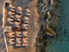 Cabana Blu Lifestyle Boutique hotel & Suites #4